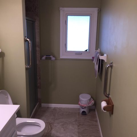Lower Level Bathroom