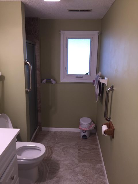 Lower Level Bathroom