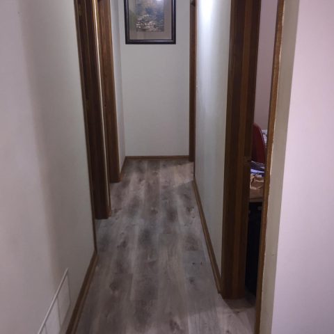 Lower Level - Hallway to Bedrooms