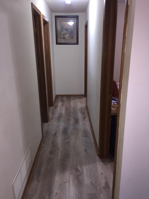 Lower Level - Hallway to Bedrooms