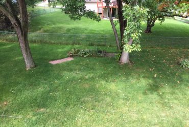 Backyard - Flower Garden