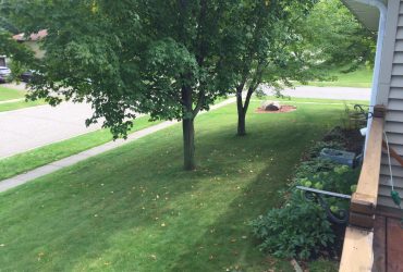 Side yard - Flower Garden