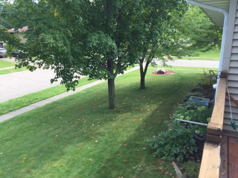 Side yard - Flower Garden